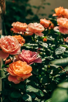  信贷小月表现平稳；社融增量超预期；政策支撑作用显著。 股票财经 信贷小月表现平稳；社融增量超预期；政策支撑作用显著。 股票财经 信贷小月表现平稳；社融增量超预期；政策支撑作用显著。 股票财经