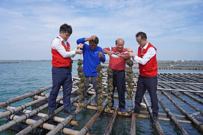 广西农商联合银行以金融之力,助力北部湾海洋经济蓬勃发展;蓝色引擎加速启动,产业活力持续释放。 新闻 广西农商联合银行以金融之力,助力北部湾海洋经济蓬勃发展;蓝色引擎加速启动,产业活力持续释放。 新闻 广西农商联合银行以金融之力,助力北部湾海洋经济蓬勃发展;蓝色引擎加速启动,产业活力持续释放。 新闻