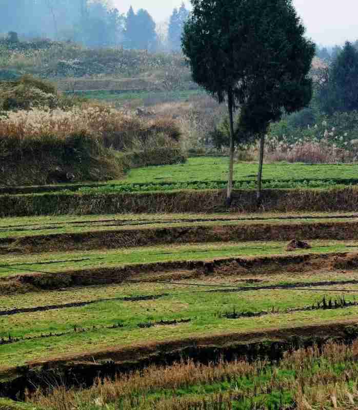  湖南民房火灾深度技术复盘：乡镇消防困局的结构性成因与系统性破局 新闻