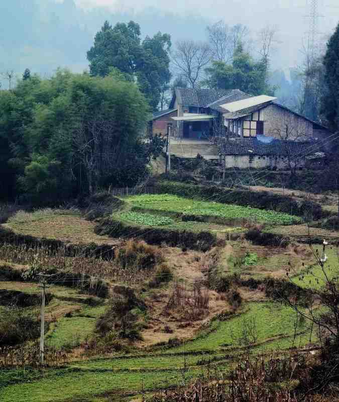  湖南民房火灾深度技术复盘：乡镇消防困局的结构性成因与系统性破局 新闻