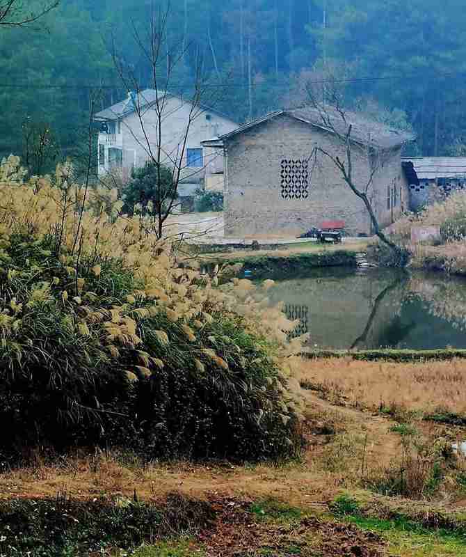  湖南民房火灾深度技术复盘：乡镇消防困局的结构性成因与系统性破局 新闻