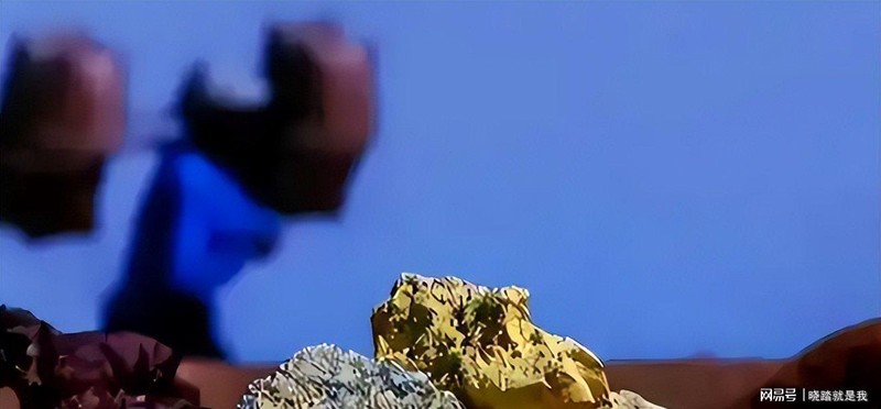  当一个邻居突然热情敲门：越南如何在两个大国之间走钢丝 新闻