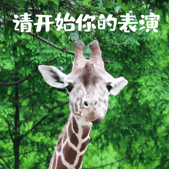  离职离开深圳后，这笔钱差点打水漂：一位HR亲历的公积金利息补贴真相 房产家居