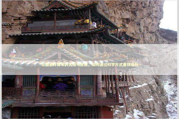 花园衰败带来的失落与焦虑,如何通过科学方式重获活力 花园衰败带来的失落与焦虑,如何通过科学方式重获活力 新闻