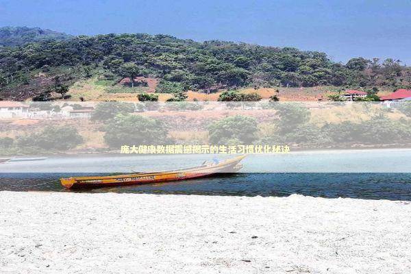 庞大健康数据震撼揭示的生活习惯优化秘诀 庞大健康数据震撼揭示的生活习惯优化秘诀 健康养生