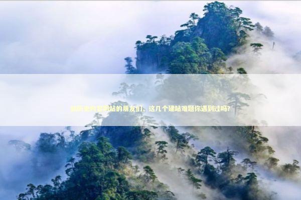 做历史内容网站的朋友们，这几个建站难题你遇到过吗？ IT技术