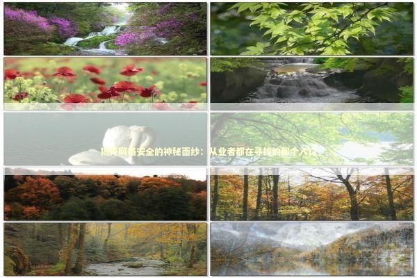 揭开网络安全的神秘面纱：从业者都在寻找的那个入口 IT技术