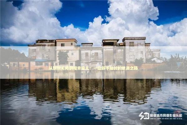 从默默无闻到搜索宠儿：一位新手站长的逆袭之路 IT技术