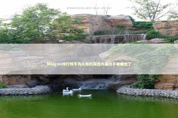 Maigoo排行榜不为人知的筛选内幕终于被曝光了 新闻