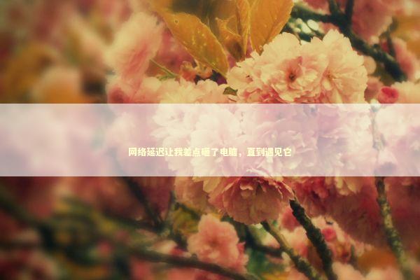 网络延迟让我差点砸了电脑，直到遇见它 IT技术